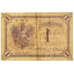 1 złoty 1919 - S.22 B