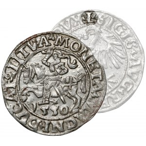 Zygmunt II August, Półgrosz Wilno 1550 - rzadka odmiana