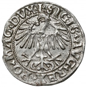 Zygmunt II August, Półgrosz Wilno 1550 - rzadka odmiana