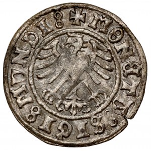 Zygmunt I Stary, Półgrosz Kraków 1509 - fałszerstwo z epoki(?)