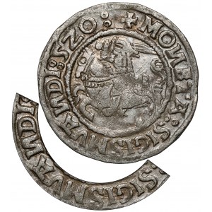 Zygmunt I Stary, Półgrosz Wilno 1520 - z błędami - rzadki