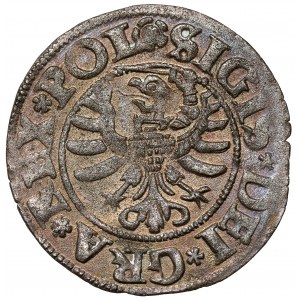Zygmunt I Stary, Szeląg Gdańsk 1532 - wczesny - piękny