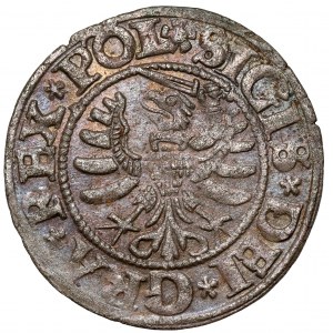 Zygmunt I Stary, Szeląg Gdańsk 1531 - piękny