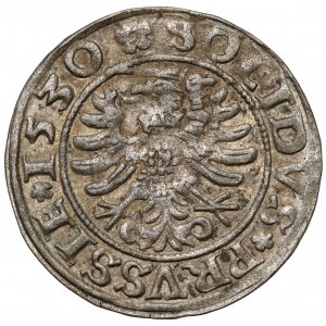 Zygmunt I Stary, Szeląg Toruń 1530 - b.ładny