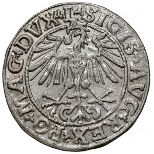 Zygmunt II August, Półgrosz Wilno 1550 - L/LITVA - rzadka odmiana