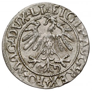 Zygmunt II August, Półgrosz Wilno 1559