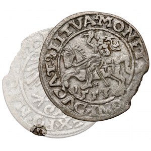 Zygmunt II August, Półgrosz Wilno 1553 - ex. Antoni Ryszard