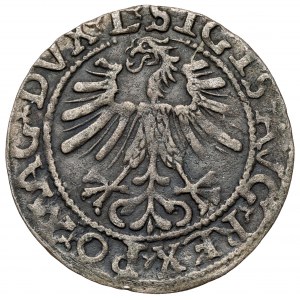 Zygmunt II August, Półgrosz Wilno 1562 - ODWRÓCONY Topór - L
