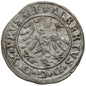 Prusy, Albrecht Hohenzollern, Szeląg Królewiec 1531