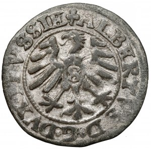 Prusy, Albrecht Hohenzollern, Szeląg Królewiec 1550