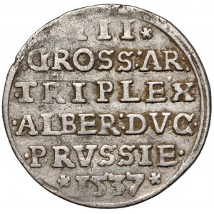 Prusy, Albrecht Hohenzollern, Trojak Królewiec 1537