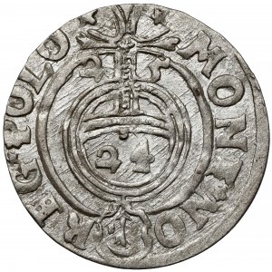 Zygmunt III Waza, Półtorak Bydgoszcz 1625 - Sas w tarczy