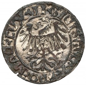 Zygmunt II August, Półgrosz Wilno 1556 - falsyfikat z epoki