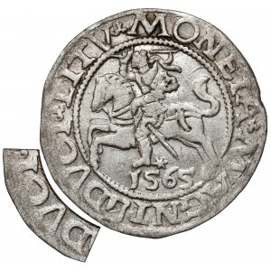 Zygmunt II August, Półgrosz Wilno 1565 - błąd DVCT - RZADKI