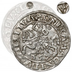 Zygmunt II August, Półgrosz Wilno 1557 - 2x koniczyna - rzadki