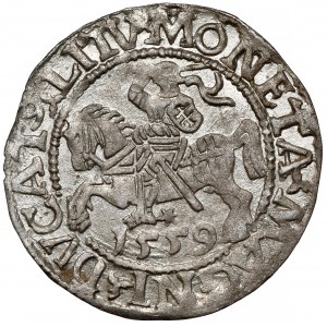 Zygmunt II August, Półgrosz Wilno 1559