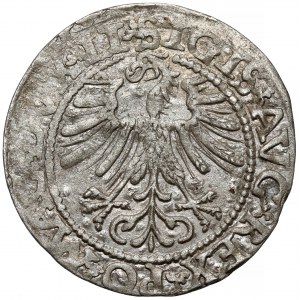 Zygmunt II August, Półgrosz Wilno 1562 - ODWRÓCONY Topór - LI