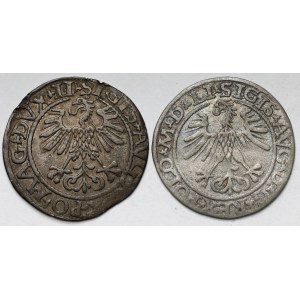 Zygmunt II August, Półgrosze Wilno 1561 i 1564 - zestaw (2szt)