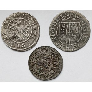 Szeląg, Półgrosz i Półtorak 1510-1652 - zestaw (3szt)