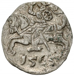 Sigismondo II Augusto, denario di Vilnius 1563 - precoce - molto raro
