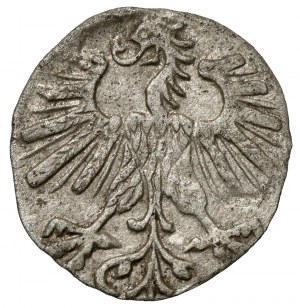 Sigismund II Augustus, Vilnius denarius 1563 - early - very rare