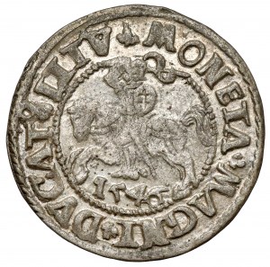 Sigismond II Auguste, demi-penny Vilnius 1546 - ovale