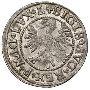 Zygmunt II August, Półgrosz Wilno 1546 - owalna
