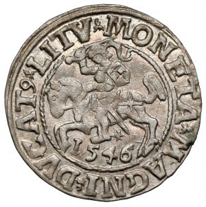 Sigismond II Auguste, demi-penny Vilnius 1546 - crinière lisse