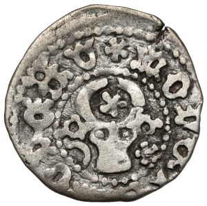 Moldavian Hospodardom, Stefan III (1457-1504), Suceava penny