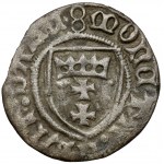Kazimierz IV Jagiellończyk, Szeląg Gdańsk - 8/* - błąd KASIMI•RVS
