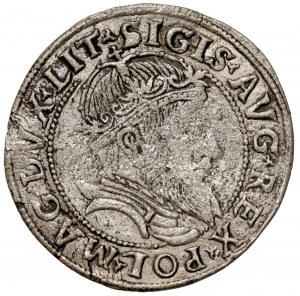 Sigismondo II Augusto, penny lituano a piede 1555, Vilnius