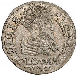 Zygmunt II August, Grosz na stopa polską 1566, Tykocin