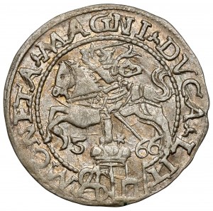 Sigismund II Augustus, Grosz per Polish foot 1566, Tykocin