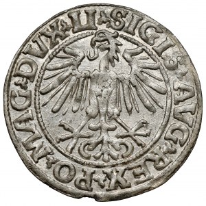 Sigismond II Auguste, demi-penny Vilnius 1549