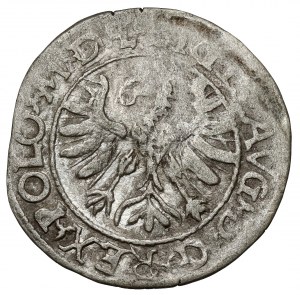 Sigismond II Auguste, demi-penny Tykocin 1566 - Jastrzębiec