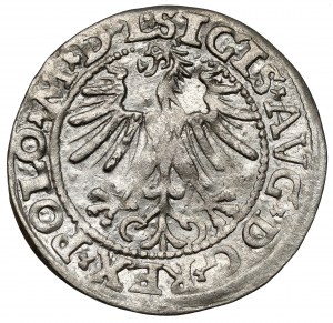 Sigismund II Augustus, Vilnius 1563 half-penny - small Pogon - MDL