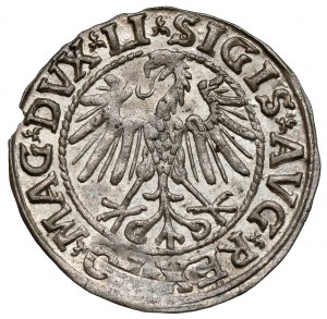Sigismond II Auguste, demi-penny Vilnius 1546 - fin