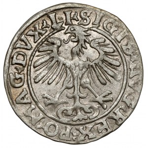 Zygmunt II August, Półgrosz Wilno 1554 - rzadki rok
