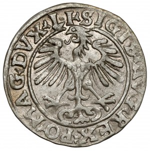 Sigismund II Augustus, Half-penny Vilnius 1554 - rare year