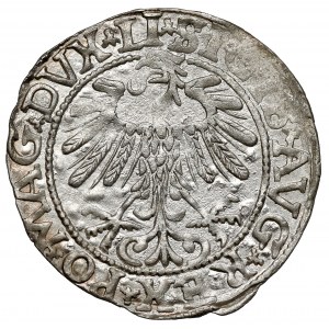 Zygmunt II August, Półgrosz Wilno 1557 - kropka nad Pogonią
