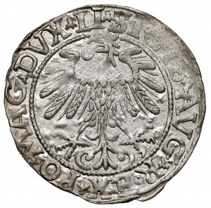 Sigismond II Auguste, demi-gros Vilnius 1557 - point sur le Pogon