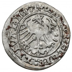 Sigismondo I il Vecchio, mezzo penny Vilnius 1513