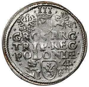 Zygmunt III Waza, Trojak Wschowa 1595 - data w otoku