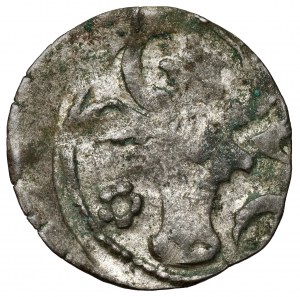 Moldavian Hospodardom, Alexander I (1400-1432), Half-penny