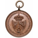 Medal z Gwiazdą Wytrwałości Powstania listopadowego - w jego 50. Rocznicę (1881)