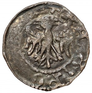 Casimir III the Great, Cracow denarius without date - BEAUTIFUL