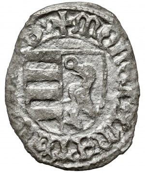 Maďarsko, Maciej Korwin, denár bez dátumu (1463)