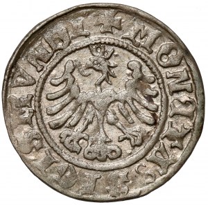 Sigismund I the Old, Half-penny Cracow 1507
