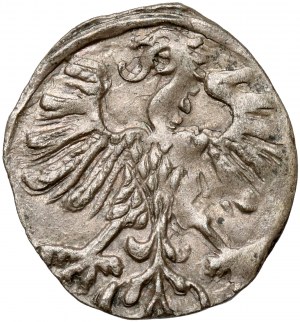 Sigismund II Augustus, Vilnius Denarius 1559