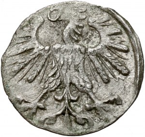 Sigismund II. Augustus, Vilnius-Denar 1560 - selten